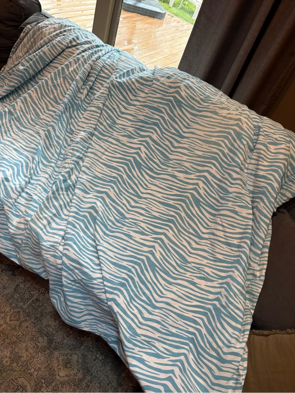 Pottery Barn Teen Y2K Blue Zebra Print Cotton Duvet Cover Full / Queen